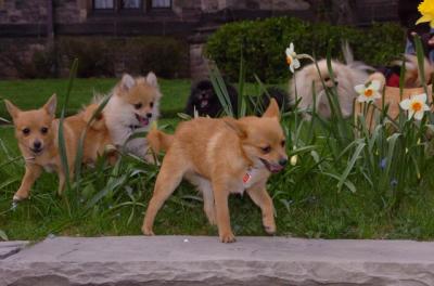 Apr20_06_011.JPG