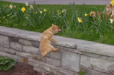Apr20_06_026.JPG