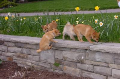 Apr20_06_030.JPG