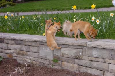 Apr20_06_031.JPG