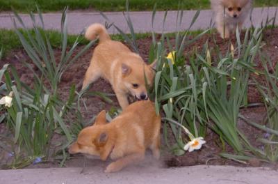 Apr20_06_037.JPG