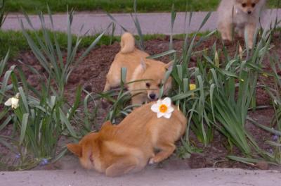 Apr20_06_038.JPG