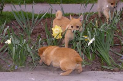 Apr20_06_039.JPG