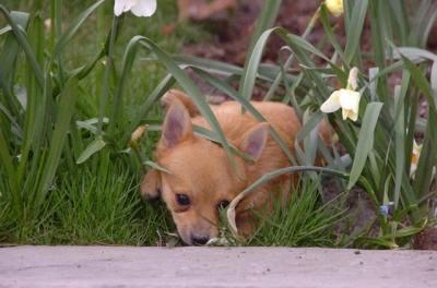Apr20_06_040.JPG