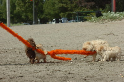 Sept1_06_1113.JPG