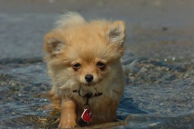 Sept1_06_345.JPG