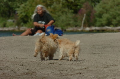 Sept1_06_083.JPG