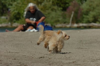 Sept1_06_085.JPG