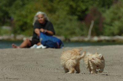 Sept1_06_088.JPG