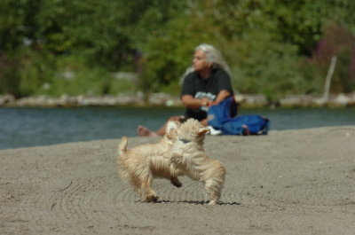 Sept1_06_090.JPG