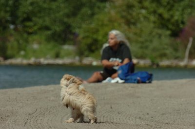 Sept1_06_091.JPG