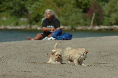 Sept1_06_093.JPG