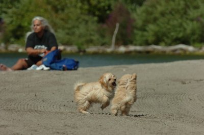 Sept1_06_096.JPG