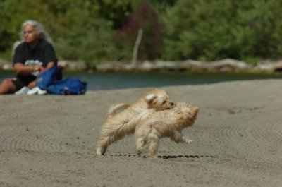 Sept1_06_097.JPG