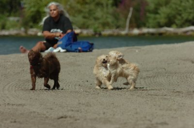 Sept1_06_098.JPG