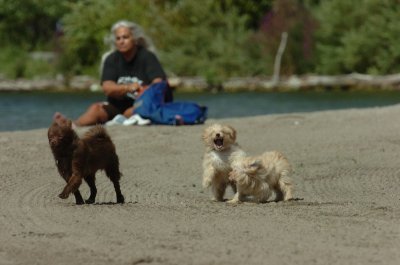 Sept1_06_099.JPG
