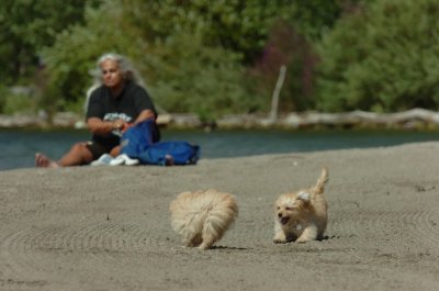 Sept1_06_100.JPG