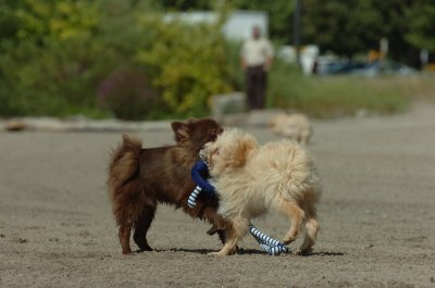 Sept1_06_103.JPG