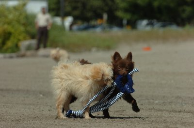 Sept1_06_104.JPG