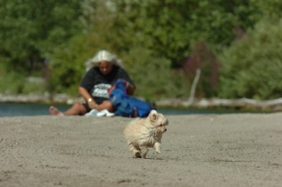 Sept1_06_106.JPG