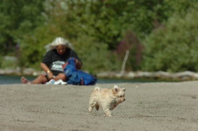 Sept1_06_107.JPG