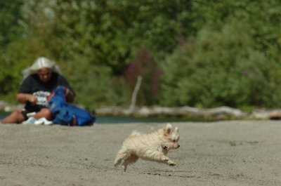 Sept1_06_108.JPG