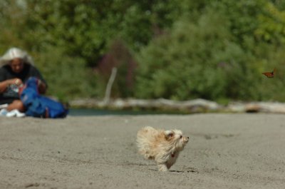Sept1_06_109.JPG