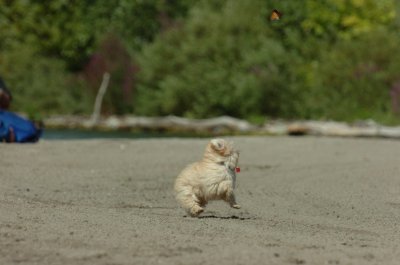 Sept1_06_110.JPG