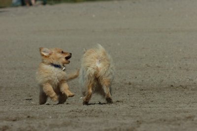 Sept1_06_128.JPG
