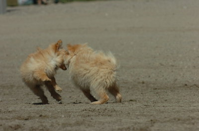 Sept1_06_129.JPG