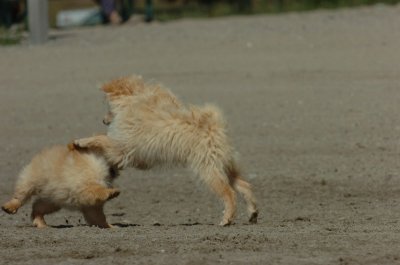 Sept1_06_130.JPG