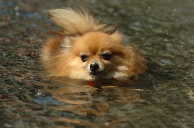 Sept8_06_965.JPG