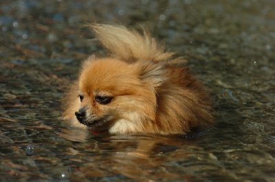 Sept8_06_968.JPG