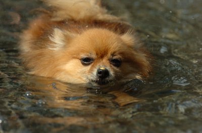 Sept8_06_971.JPG