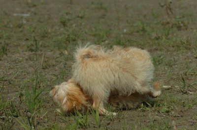 Sept8_06_721.JPG