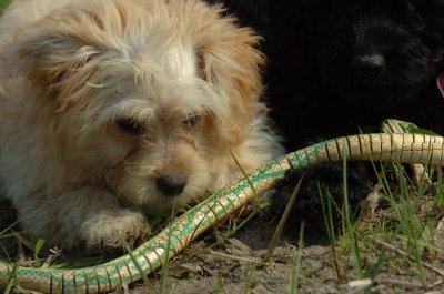Sept8_06_731.JPG