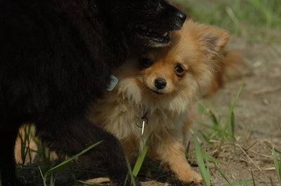 Sept8_06_757.JPG