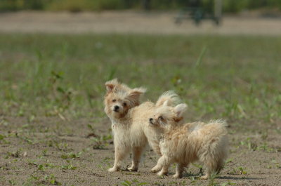Sept8_06_779.JPG