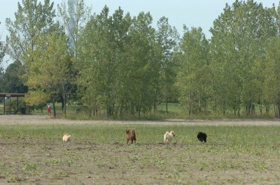 Sept8_06_783.JPG
