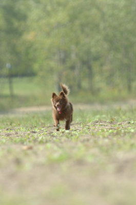 Sept8_06_789.JPG