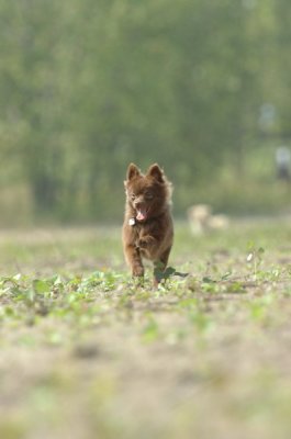 Sept8_06_792.JPG