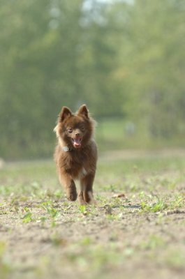Sept8_06_795.JPG
