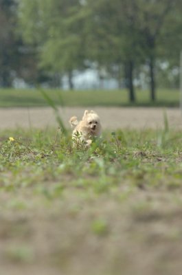 Sept8_06_817.JPG