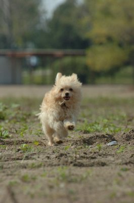 Sept8_06_821.JPG