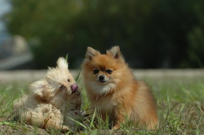 Sept8_06_843.JPG