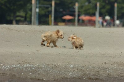 Sept8_06_447.JPG
