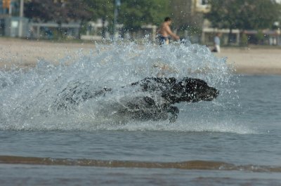 Sept8_06_161.JPG