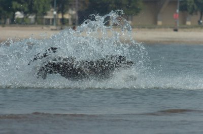 Sept8_06_163.JPG