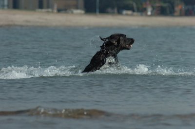 Sept8_06_165.JPG