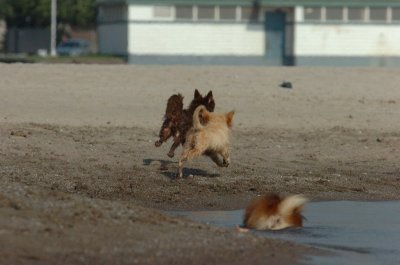 Sept8_06_171.JPG